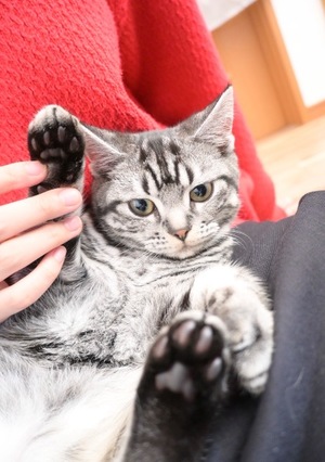 Ritoの写メ日記｜プレミアム 吉原高級店ソープ