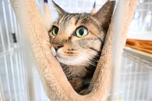 Ritoの写メ日記｜プレミアム 吉原高級店ソープ