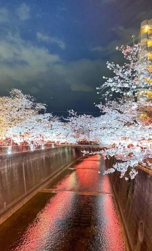 Ritsuの写メ日記｜プレミアム 吉原高級店ソープ