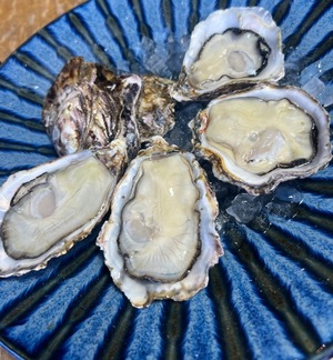 Otoneの写メ日記｜プレミアム 吉原高級店ソープ