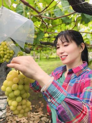 白藤の写メ日記｜プレジデントクラブ 吉原高級店ソープ