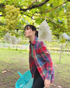 白藤の写メ日記｜プレジデントクラブ 吉原高級店ソープ