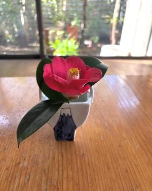 白藤の写メ日記｜プレジデントクラブ 吉原高級店ソープ