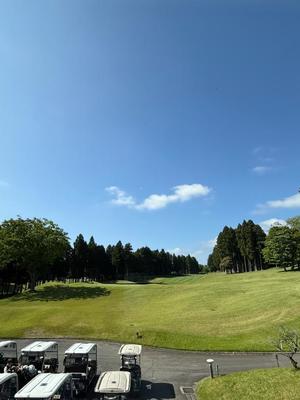 白藤の写メ日記|プレジデントクラブ 吉原高級店ソープ
