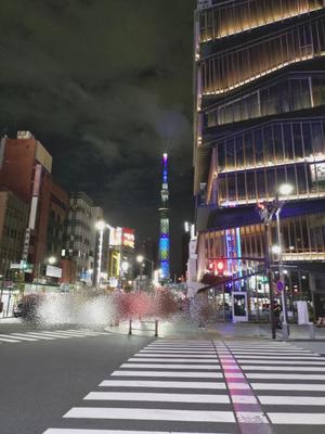 小日向朝露の写メ日記｜プレジデントクラブ 吉原高級店ソープ