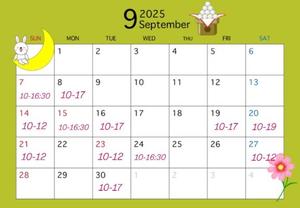 要 杏奈の写メ日記｜プレジデントクラブ 吉原高級店ソープ