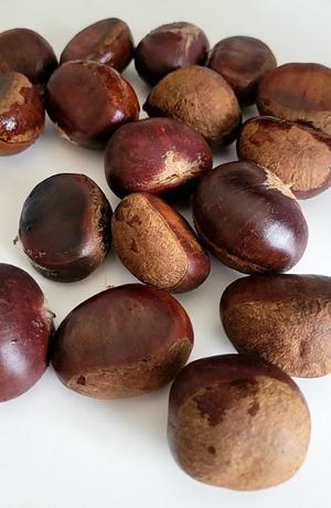 白雪由夏の写メ日記｜プレジデントクラブ 吉原高級店ソープ