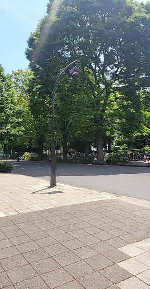 白雪由夏の写メ日記｜プレジデントクラブ 吉原高級店ソープ