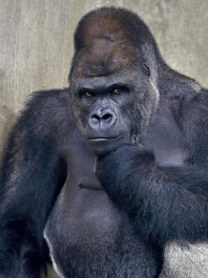 大原エミリの写メ日記｜プレジデントクラブ 吉原高級店ソープ