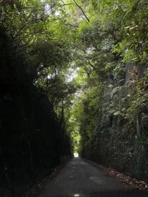 月島ももの写メ日記｜プレジデントクラブ 吉原高級店ソープ