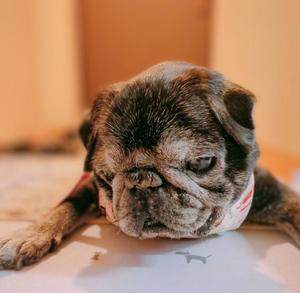 一ノ瀬めぐみの写メ日記｜プレジデントクラブ 吉原高級店ソープ