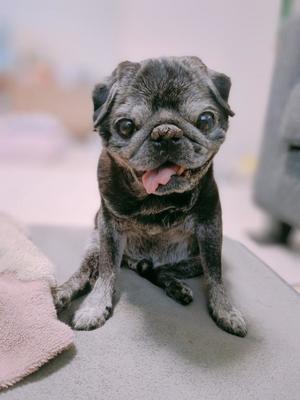 一ノ瀬めぐみの写メ日記｜プレジデントクラブ 吉原高級店ソープ