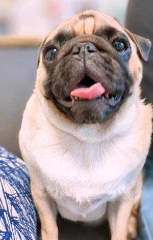 一ノ瀬めぐみの写メ日記｜プレジデントクラブ 吉原高級店ソープ