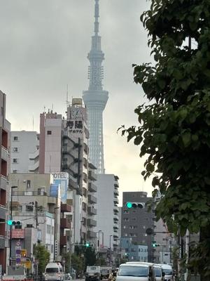 神宮寺 紗耶の写メ日記｜プレジデントクラブ 吉原高級店ソープ