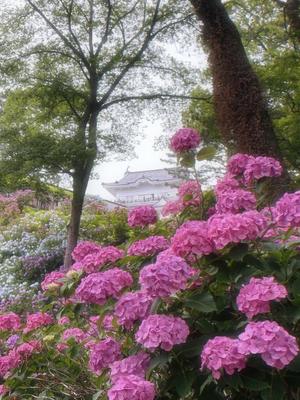 有村真理愛の写メ日記｜プレジデントクラブ 吉原高級店ソープ
