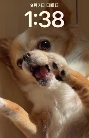 一条彩香の写メ日記｜プレジデントクラブ 吉原高級店ソープ