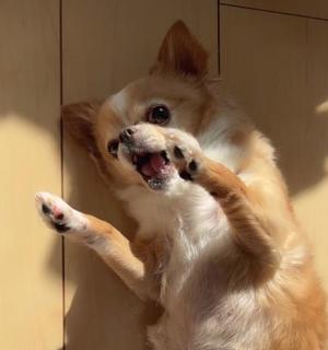 一条彩香の写メ日記｜プレジデントクラブ 吉原高級店ソープ