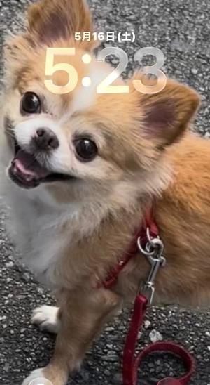 一条彩香の写メ日記｜プレジデントクラブ 吉原高級店ソープ