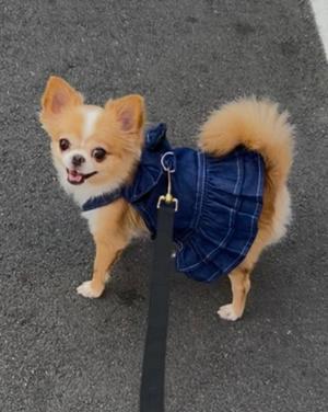 一条彩香の写メ日記｜プレジデントクラブ 吉原高級店ソープ