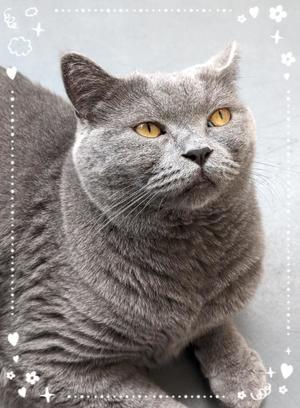 吹石里香の写メ日記｜プレジデントクラブ 吉原高級店ソープ