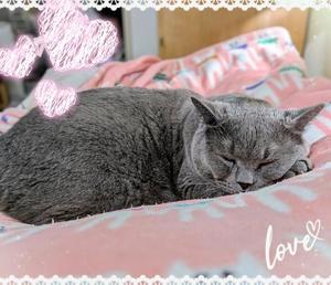 吹石里香の写メ日記｜プレジデントクラブ 吉原高級店ソープ