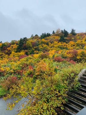 竹下夢路の写メ日記｜プレジデントクラブ 吉原高級店ソープ