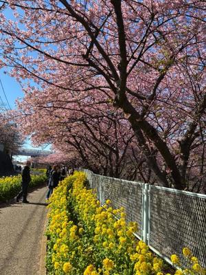 竹下夢路の写メ日記｜プレジデントクラブ 吉原高級店ソープ