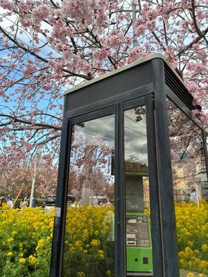 竹下夢路の写メ日記｜プレジデントクラブ 吉原高級店ソープ