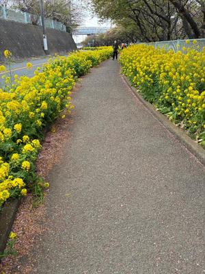 竹下夢路の写メ日記｜プレジデントクラブ 吉原高級店ソープ