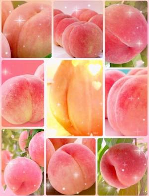 松嶋那々の写メ日記｜プレジデントクラブ 吉原高級店ソープ