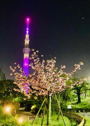 松嶋那々の写メ日記｜プレジデントクラブ 吉原高級店ソープ