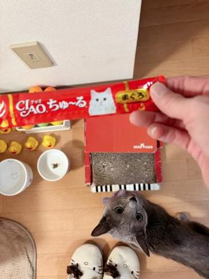 有村もえの写メ日記｜プレジデントハウス 吉原大衆店ソープ