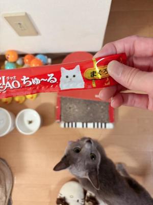 有村もえの写メ日記｜プレジデントハウス 吉原大衆店ソープ