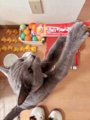 有村もえの写メ日記｜プレジデントハウス 吉原大衆店ソープ