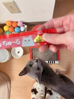 有村もえの写メ日記｜プレジデントハウス 吉原大衆店ソープ