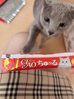 有村もえの写メ日記｜プレジデントハウス 吉原大衆店ソープ