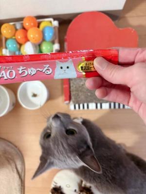 有村もえの写メ日記｜プレジデントハウス 吉原大衆店ソープ