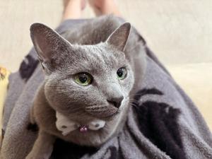 有村もえの写メ日記｜プレジデントハウス 吉原大衆店ソープ