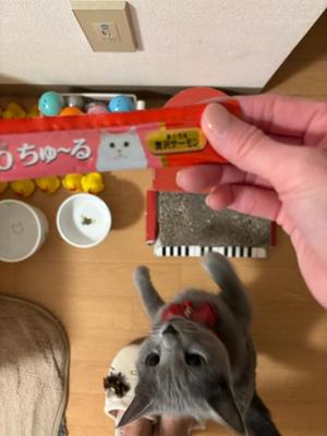 有村もえの写メ日記｜プレジデントハウス 吉原大衆店ソープ