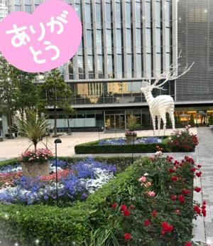 葉月美優の写メ日記｜プレジデントハウス 吉原大衆店ソープ