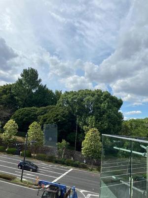 葉月美優の写メ日記｜プレジデントハウス 吉原大衆店ソープ