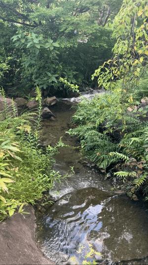 葉月美優の写メ日記｜プレジデントハウス 吉原大衆店ソープ