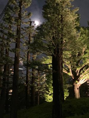 葉月美優の写メ日記｜プレジデントハウス 吉原大衆店ソープ