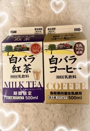 葉月美優の写メ日記｜プレジデントハウス 吉原大衆店ソープ