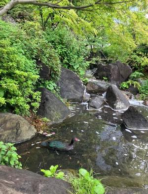 葉月美優の写メ日記｜プレジデントハウス 吉原大衆店ソープ