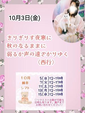 瀬戸麻莉子の写メ日記｜プレジデントハウス 吉原大衆店ソープ