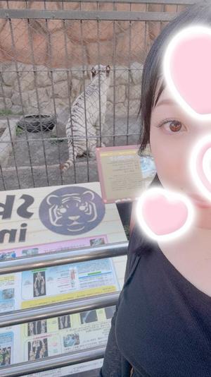 桧山さゆりの写メ日記｜プレジデントハウス 吉原大衆店ソープ