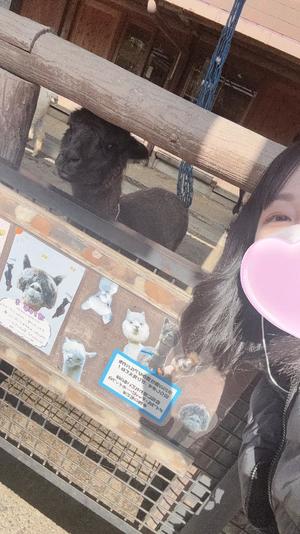 桧山さゆりの写メ日記｜プレジデントハウス 吉原大衆店ソープ