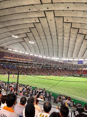 国仲紗花の写メ日記｜プレジデントハウス 吉原大衆店ソープ