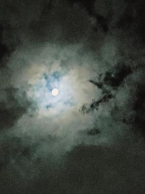 若林美加子の写メ日記｜プレジデントハウス 吉原大衆店ソープ